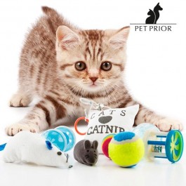 Brinquedos para gatos - Conjunto de 8