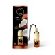 Anterior