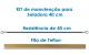 Anterior