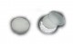 Anterior