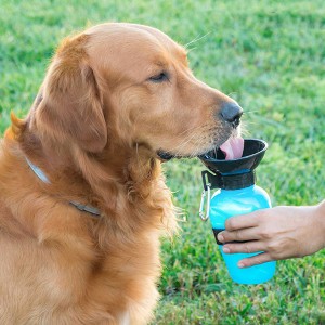 Garrafa Bebedouro de Água para Cães