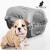 Transportadora para animais de estimação 
