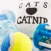 Brinquedos para gatos - Conjunto de 8