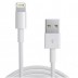 Cabo Lightning iPhone X / 8 / 7 / 6 / 5 / iPad / iPod