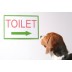 Potty Trainer - Tapete wc para cães