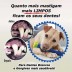 Osso Escova de Dentes para Cães
